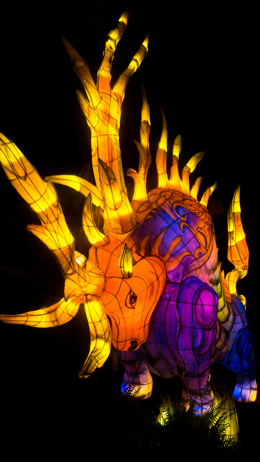 Chinese Lantern Festivel 2017 Chinese Lantern Festivel 2017