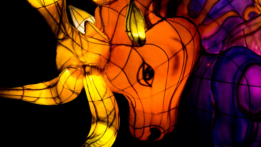 Chinese Lantern Festivel 2017 Chinese Lantern Festivel 2017