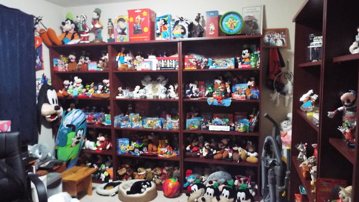 I Collect Goofy About 2000 Items