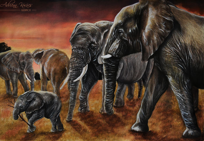 Capturing The Spirits Of The Animals