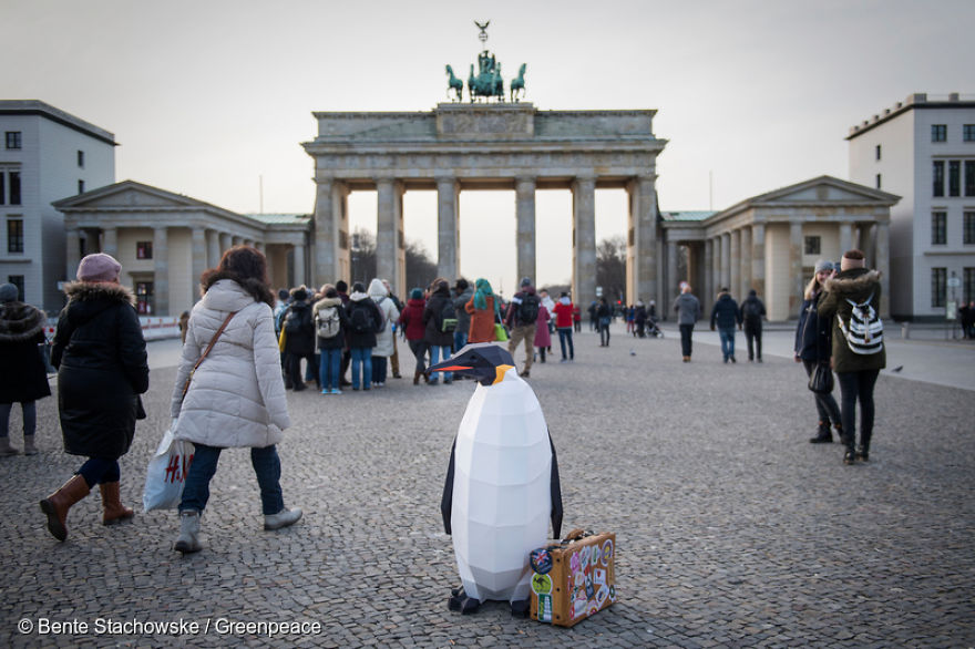Paper Penguins Pop Up Around World To Share Urgent Message About Their Home