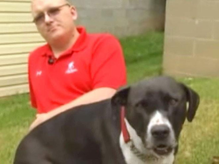 Dog Named Major Saved His Owner's Life By Dialing 911 After The Man Collapsed From A Seizure. Major Was Never Trained To Do That