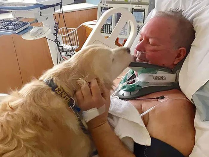 Salvó la vida de su dueño, que se había roto el cuello, tumbándose sobre el durante casi 24 horas estando a bajo cero