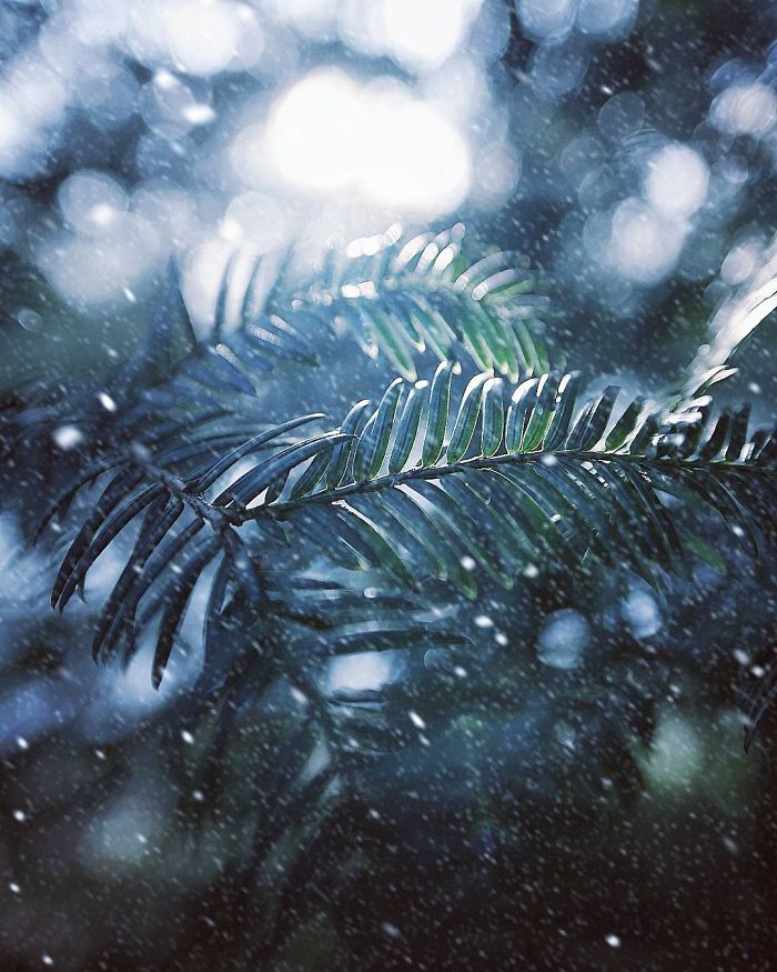 Hi I’m Grace And I Paint With My Camera