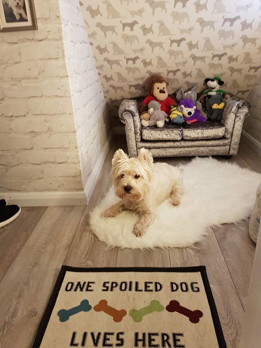 Our Dog Was Getting A Human Sister, So I Built Her A Room Under The Stairs - It Turned Out Better Than Expected