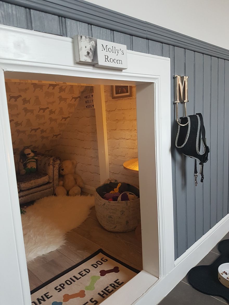 Our Dog Was Getting A Human Sister, So I Built Her A Room Under The Stairs - It Turned Out Better Than Expected