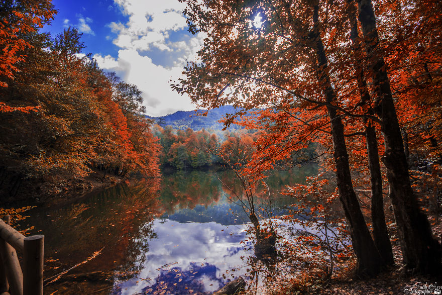 Autumn Tones From Turkey