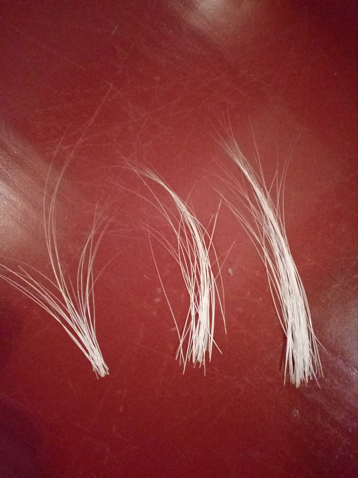 I Collect My Cat's Beard, Which She Drooped Out. :-D Maybe To Make Calligraphic Brush One Day :-D