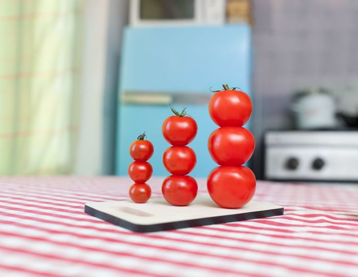 What Happens When You Lock Yourself In Your Apartment For 2 Weeks And Organize Everything You Own