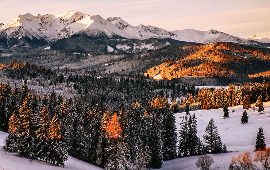 Once I Got Lost In The Tatras During Winter And Totally Fell In Love With This Wonderland