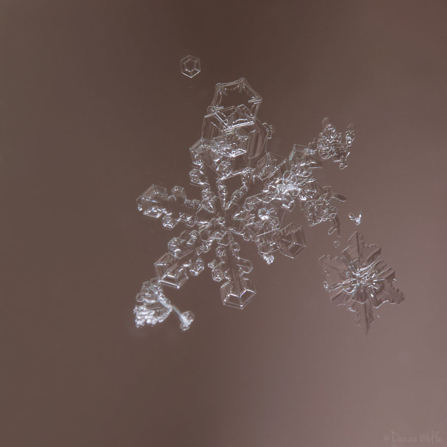 How To Photograph Macro Snowflakes At Home