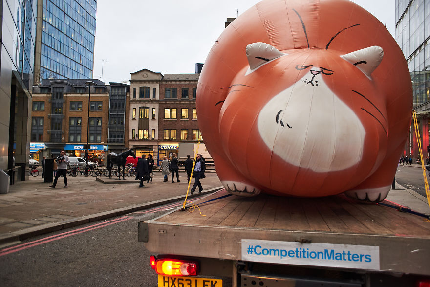 Five Huge, Inflatable Fat Cats Prowl Around London To Encourage People To Send A Message To The Banks