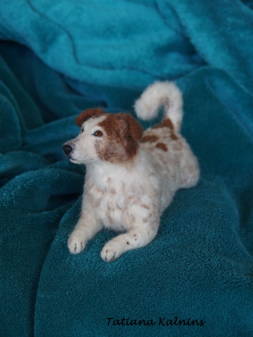 These Felted Animal Photos Will Make You Look Twice!
