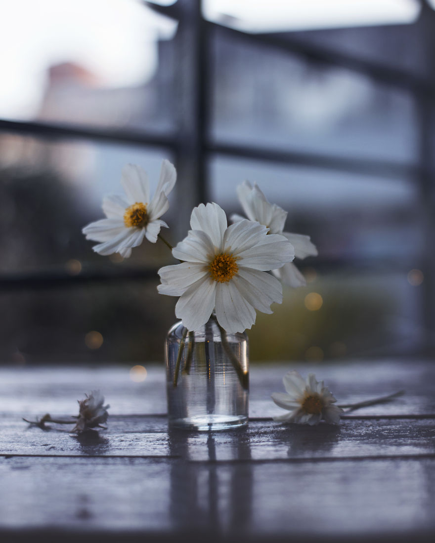 I Try To Combine The Beauty Of Flowers With Photography To Create The Perfect Composition