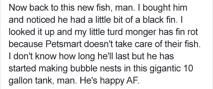 Guy Buys Ugly Betta Fish That Is So Neglected It Starts To Rot In Petsmart, Completely Transforms Her