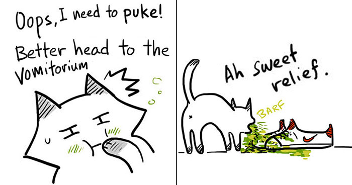 17 Hilarious Comics That Reveal The Reality Of Having A Cat