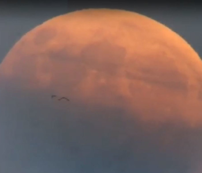 Once In A Lifetime Shot