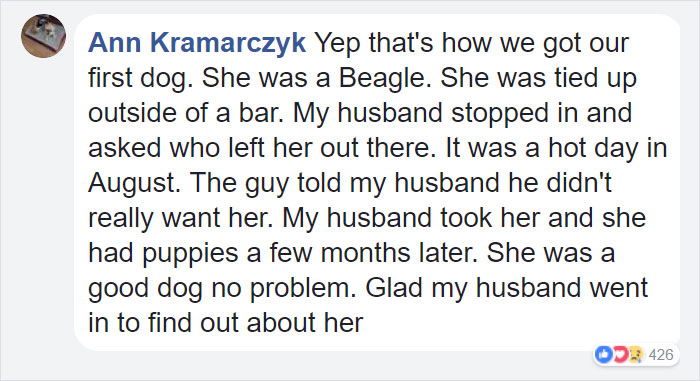 Man Dumps His Dog Near Dunkin' Donuts With A Note Stuck To Her Collar That Will Break Your Heart 