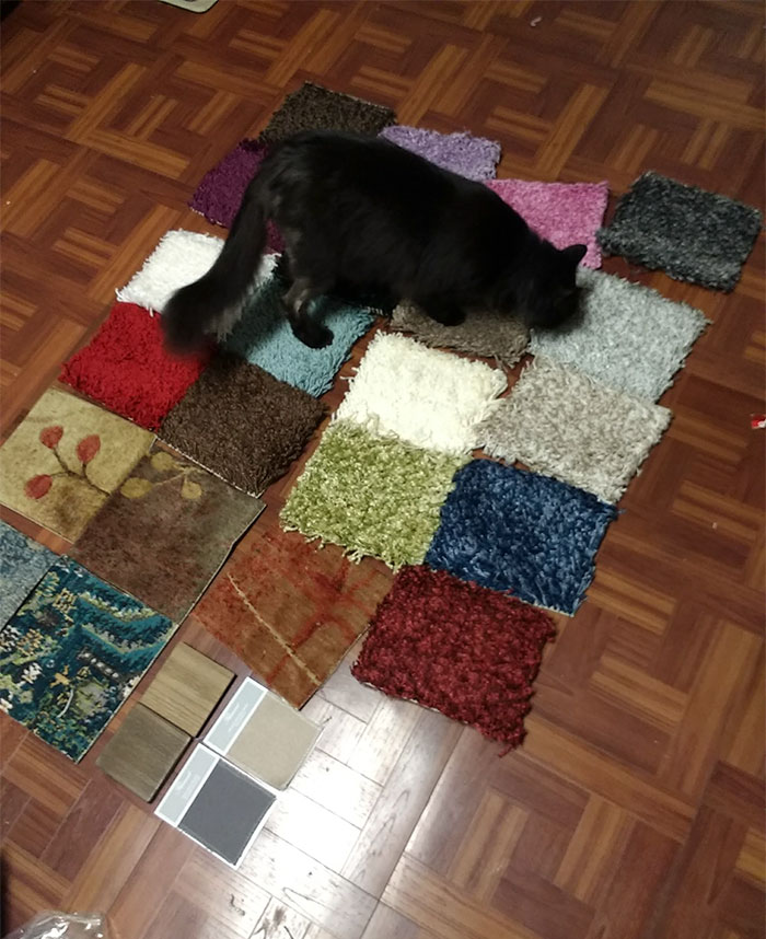 Woman Thinks She Hacked Amazon By Ordering A Ton Of Free Carpet Samples, Regrets It Immediately