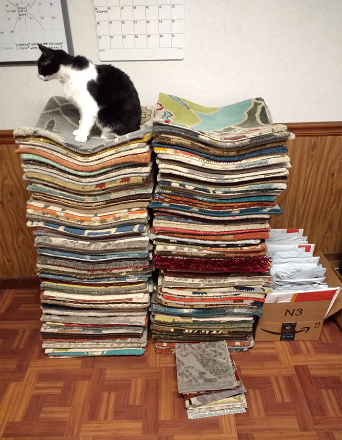 Woman Thinks She Hacked Amazon By Ordering A Ton Of Free Carpet Samples, Regrets It Immediately