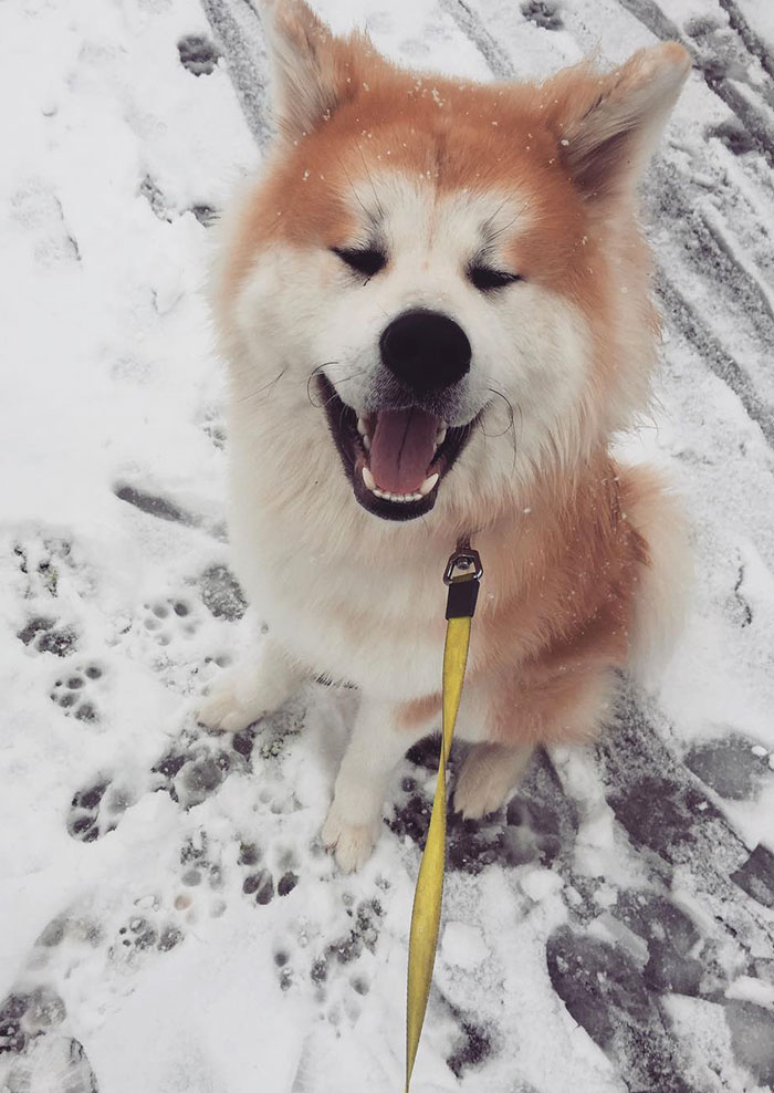 Happy Because Saw Snow For The First Time