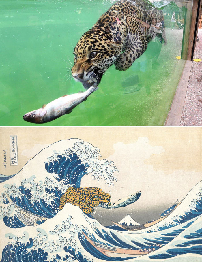 This Leopard With A Fish