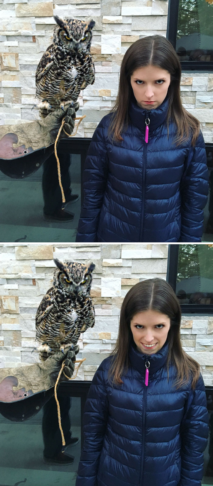 Anna Kendrick And An Owl