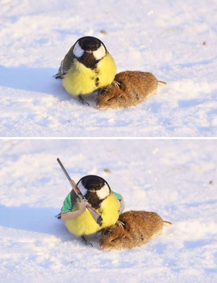 A Tit And Showing Off It's Prey