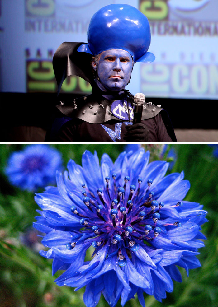 This Image Of Will Ferrell Dressed Up As Megamind