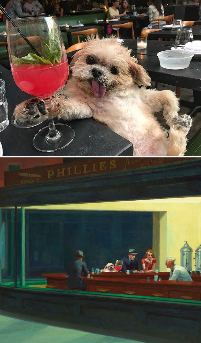 Dog Posing By A Cocktail