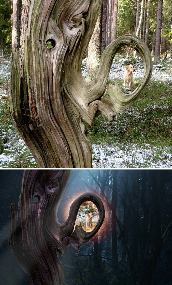 This Strange Tree