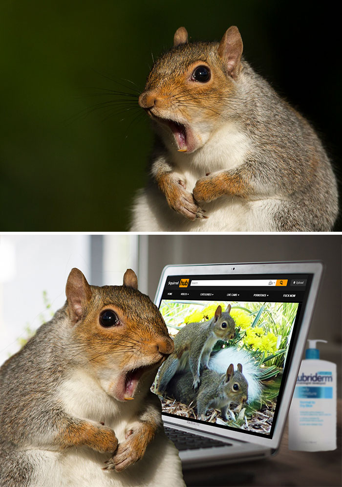 This Really Surprised Squirrel
