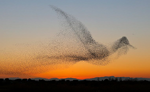 Photographer Captures One In A Million Photo, Doesn't Realize It Until He Gets Home 