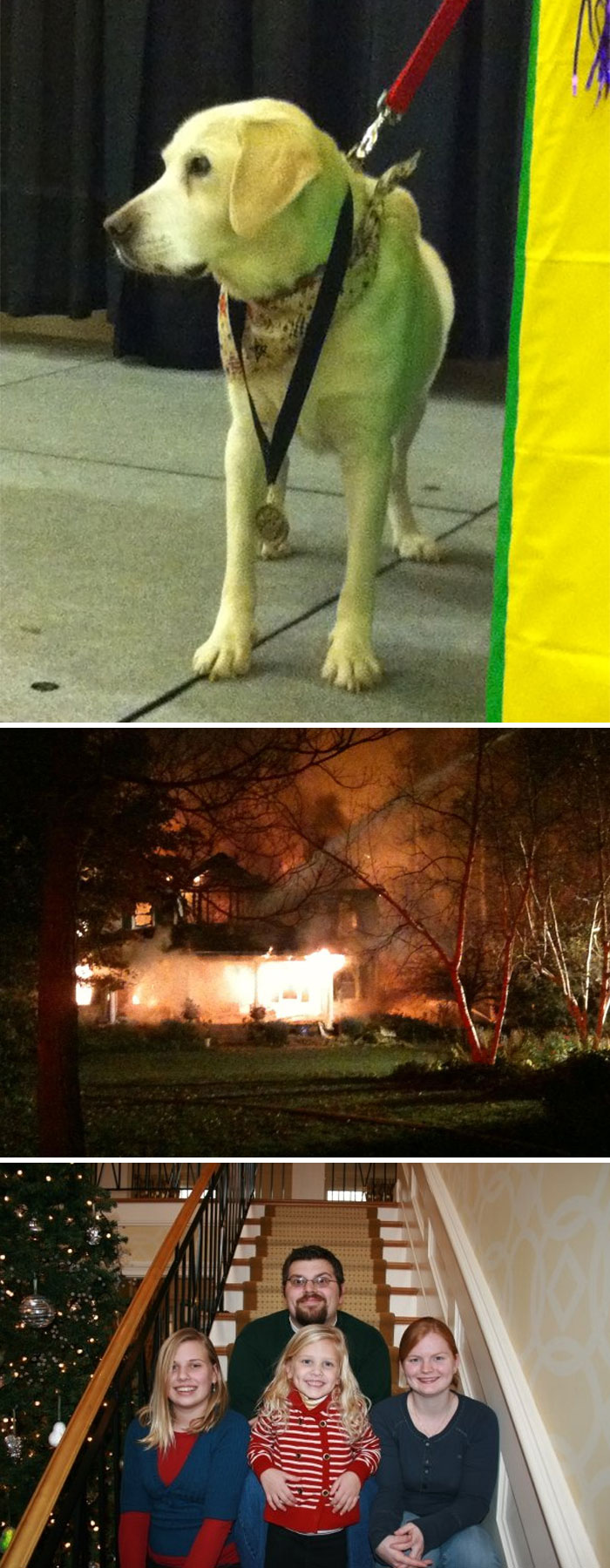 Our Blind Dog Molly Saved The Lives Of 7 People, 2 Dogs, And 4 Cats From Fire