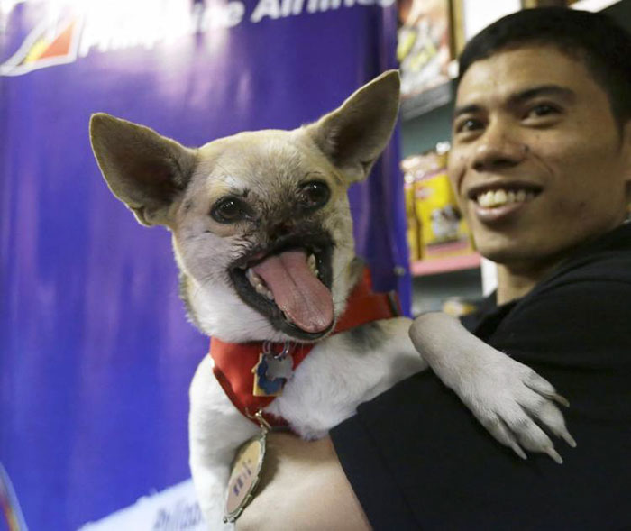 Kabang - A Dog That Lost Half Her Face When She Knocked Over A Motorcycle, Saving Two Children From A Crash