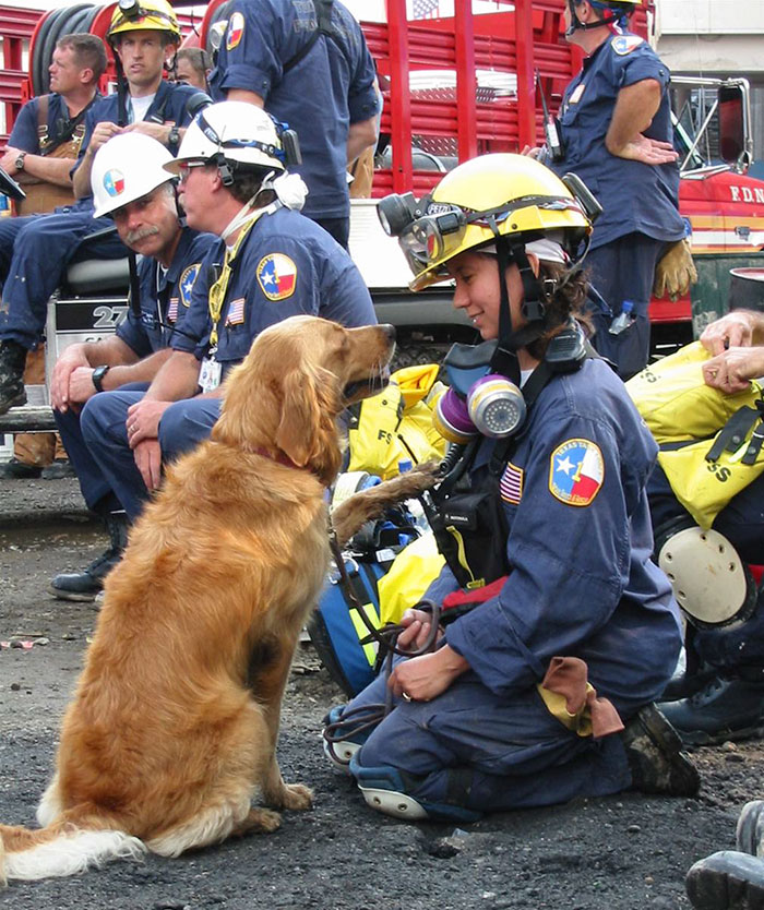 Bretagne Was The Last Surviving 9/11 Search And Rescue Dog. She Was 2 Years Old During 9/11 And Passed Away At The Age Of 16