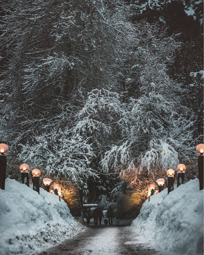 Winter Magic In Austria
