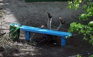Photographer Spends 10 Years Photographing Same Bench, Captures More Than He Expects