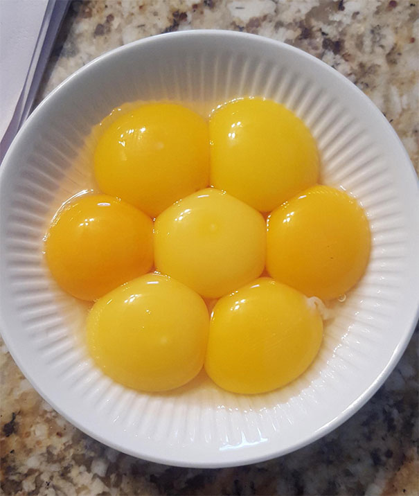These Eggs