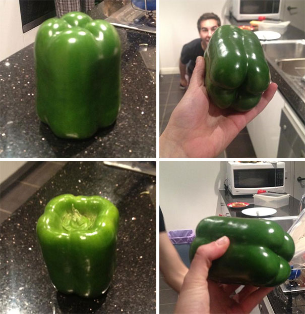 The Perfect Capsicum. I Challenge You To Find A Better One