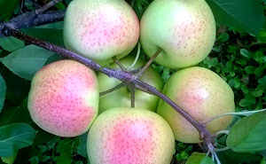 30+ Oddly Satisfying Food Photos That We Can't Stop Looking At