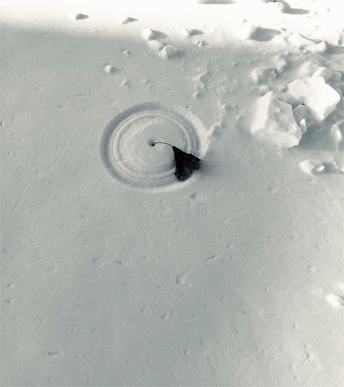 This Frozen Leaf Carved A Perfect Circle In The Snow