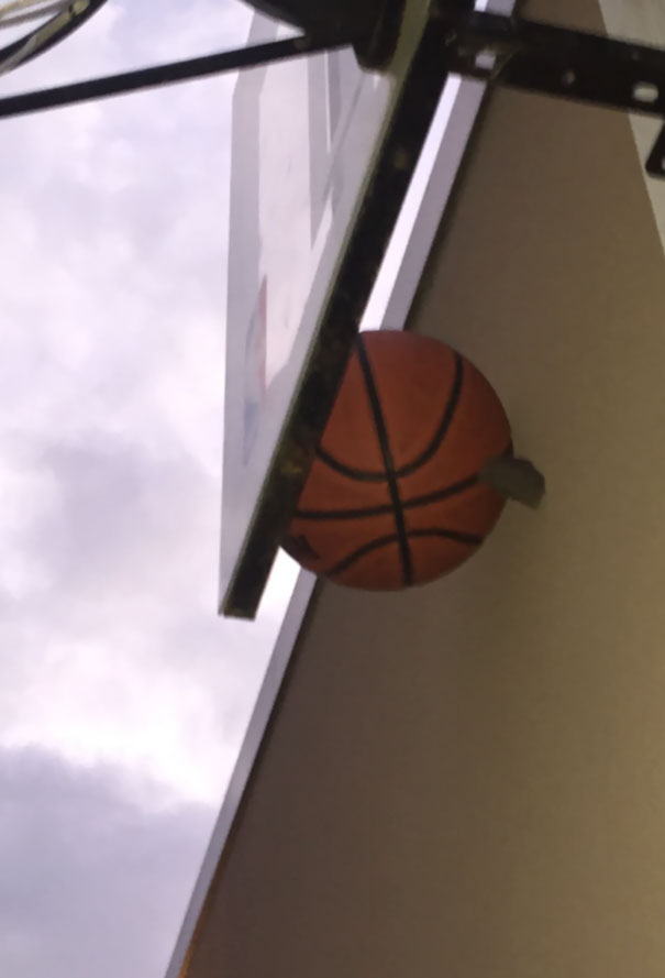 My Basketball Got Stuck Between The Backboard And The Wall Behind It, So I Threw A Rock At It. Then This Happened