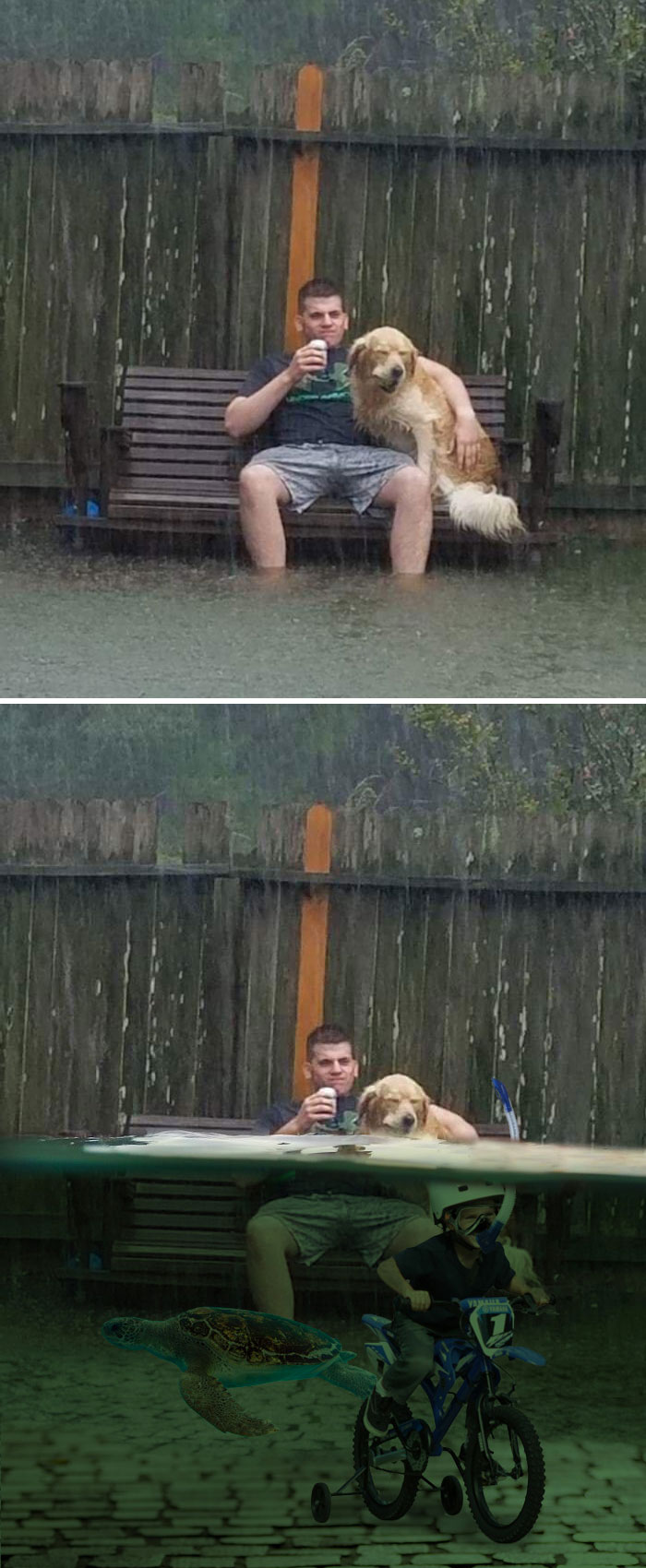 Hombre sentado con su perro en un banco durante el huracán Harvey