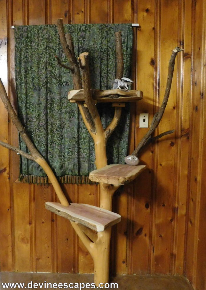 I Make Cat Trees From Real Tree Branches