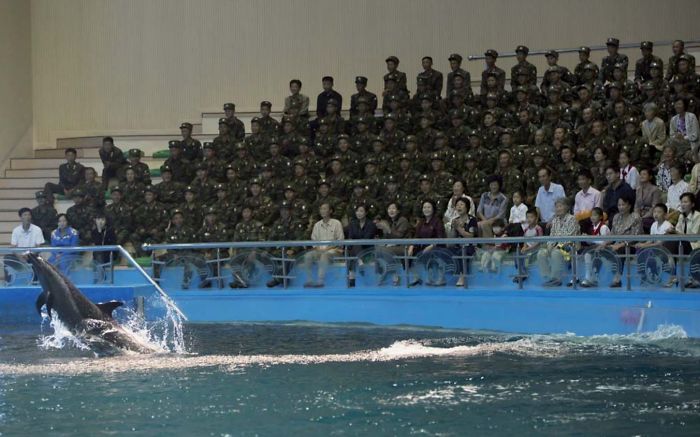 En el delfinario puedes fotografiar a los animales pero no a los soldados, que son el 99% del público