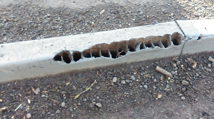 What The Inside Of A Curb Looks Like