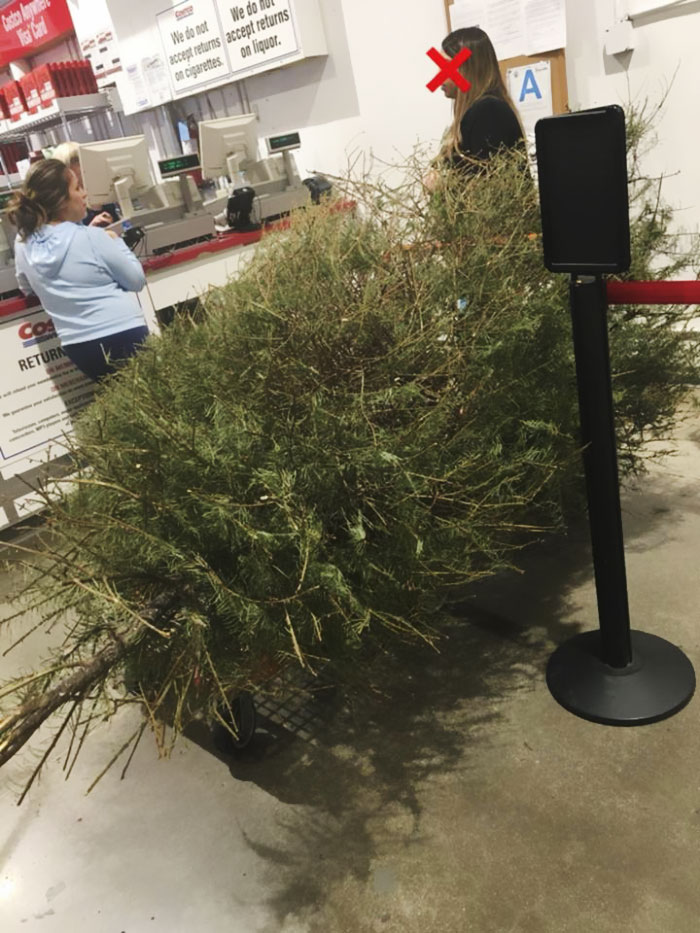 Woman Returns A Christmas Tree On January 4th Because "It's Dead," And The Shop's Response Will Infuriate You