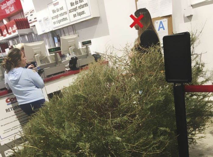 Woman Returns A Christmas Tree On January 4th Because “It’s Dead,” And The Shop’s Response Will Infuriate You