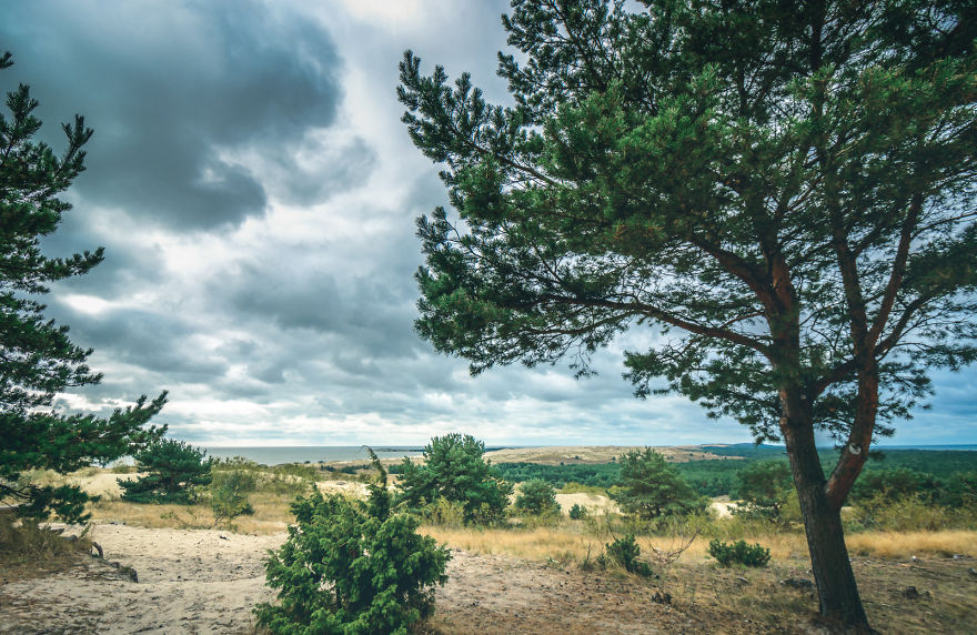 A Gem Of The Baltic Sea - Curonian Spit In Lithuania, Perfect Place For Connecting With Nature